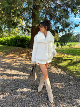 BAMBI Short Faux Fur Long Sleeved Jacket In Frost